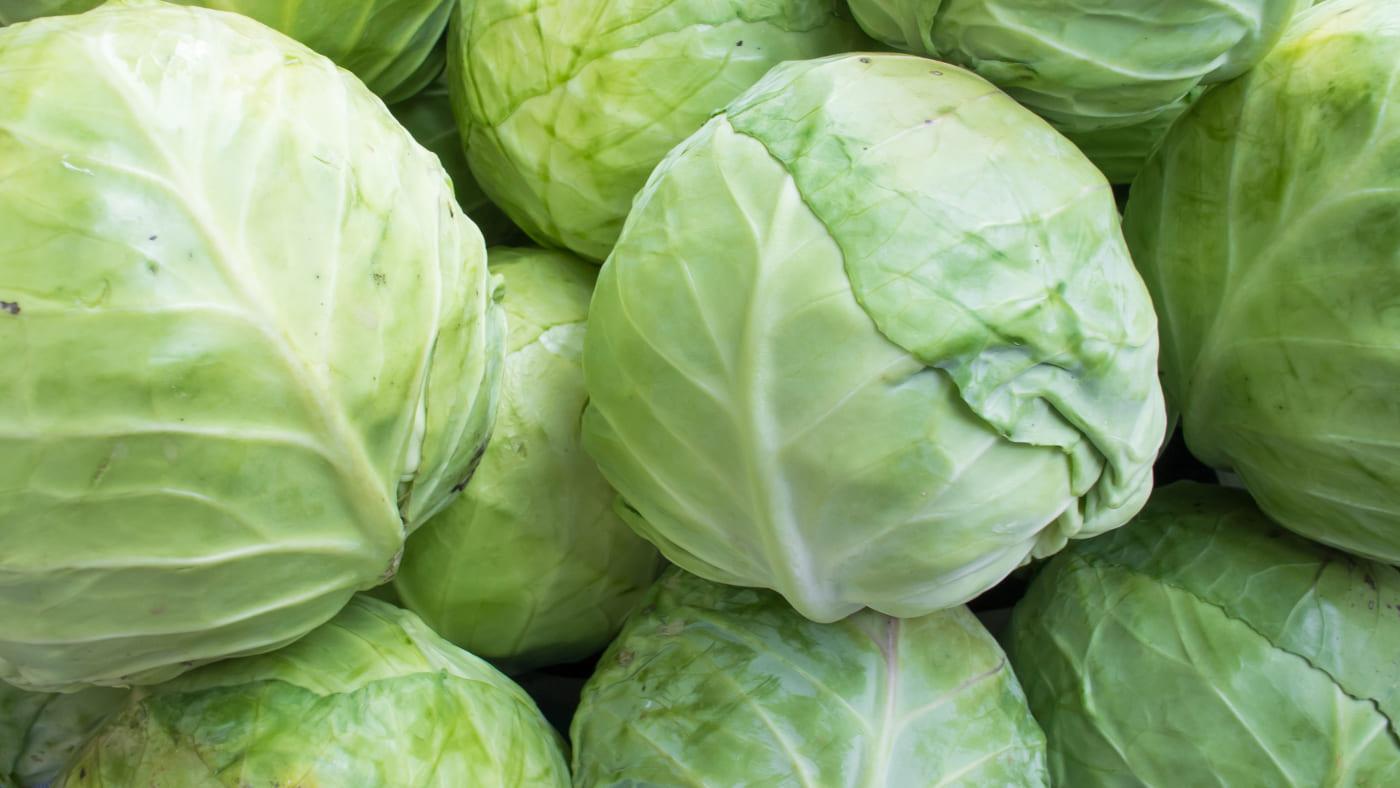 Cabbage Nutrition Facts and Health Benefits