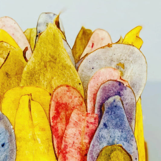 Chai Spice Cake with Dehydrated Rainbow Pears, Vegan