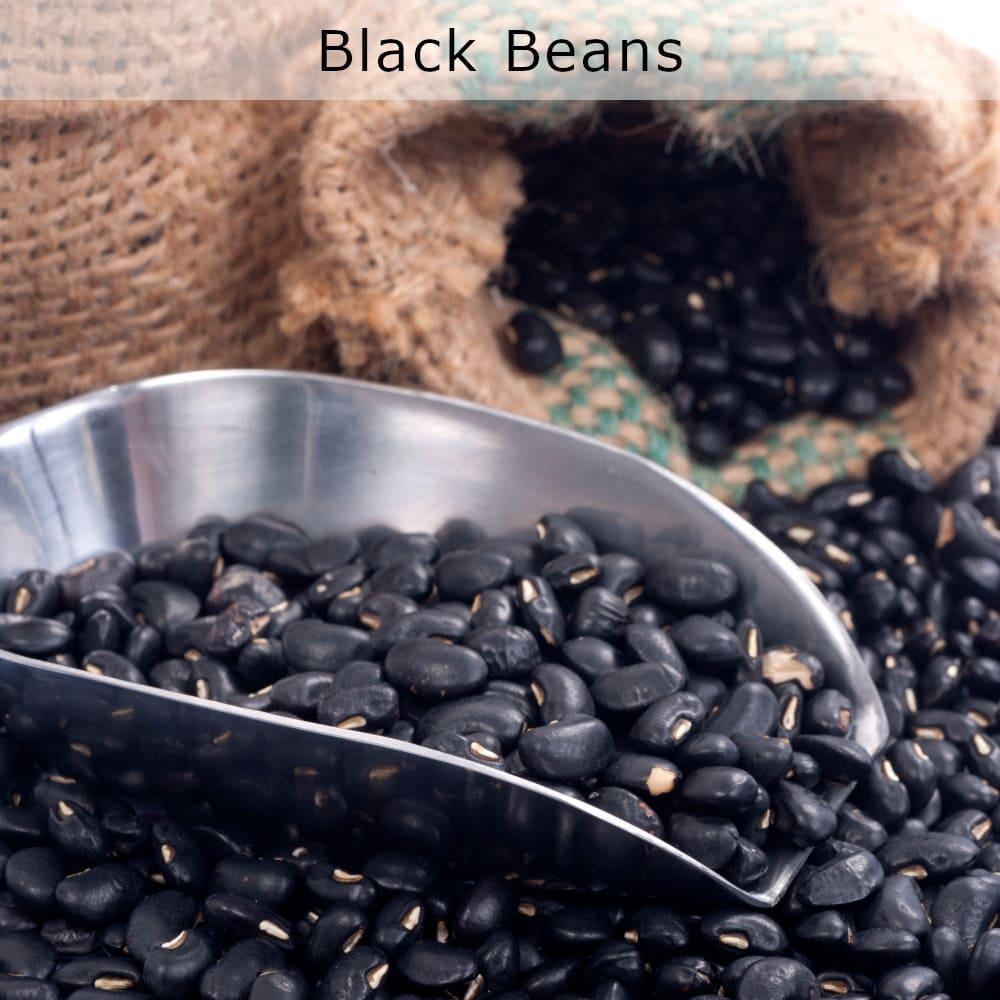 organic black beans houston texas