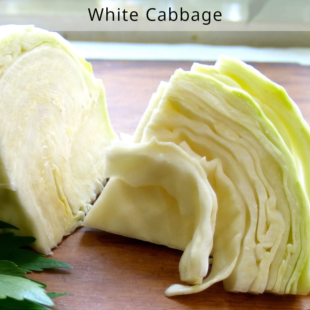 organic-white-cabbage-houston-texas