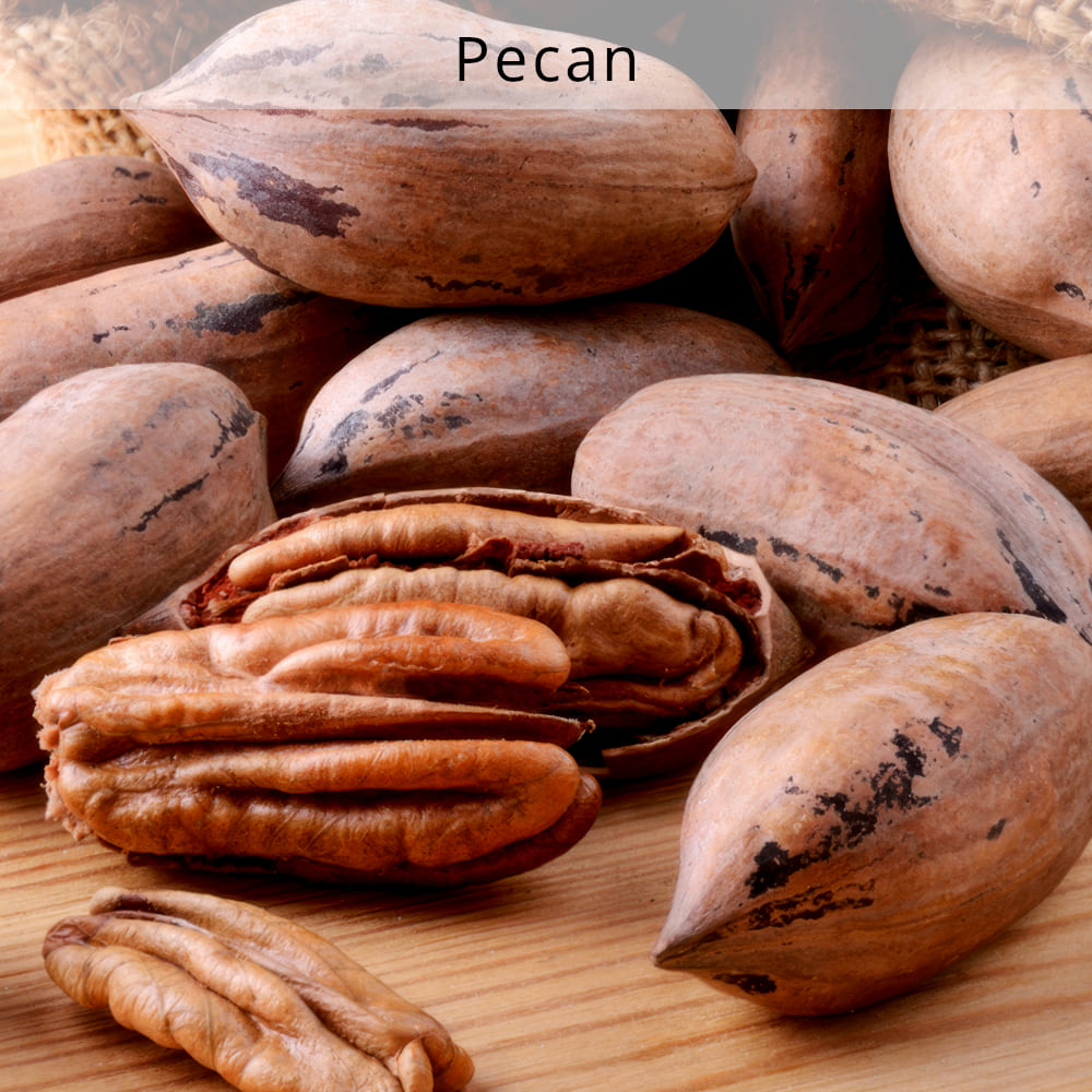 Pecan