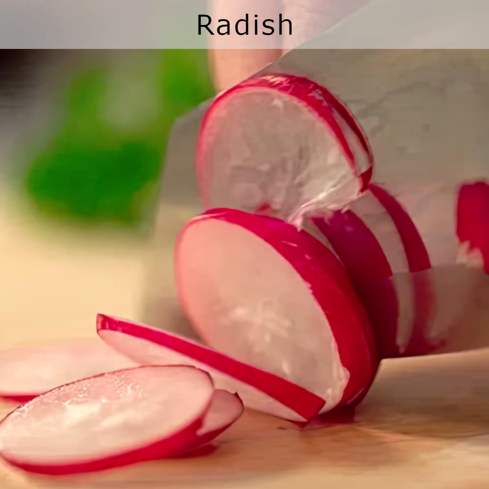nourish-cooking-vegan-food-delivery-catering-houston-texas-organic-radish-sliced-cg