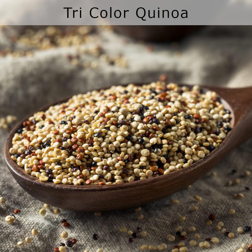 organic quinoa tri color houston texas