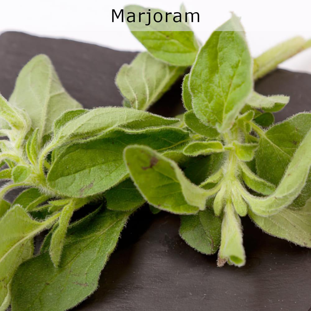 nourish-vegan-food-delivery-houston-organic-marjoram-cg