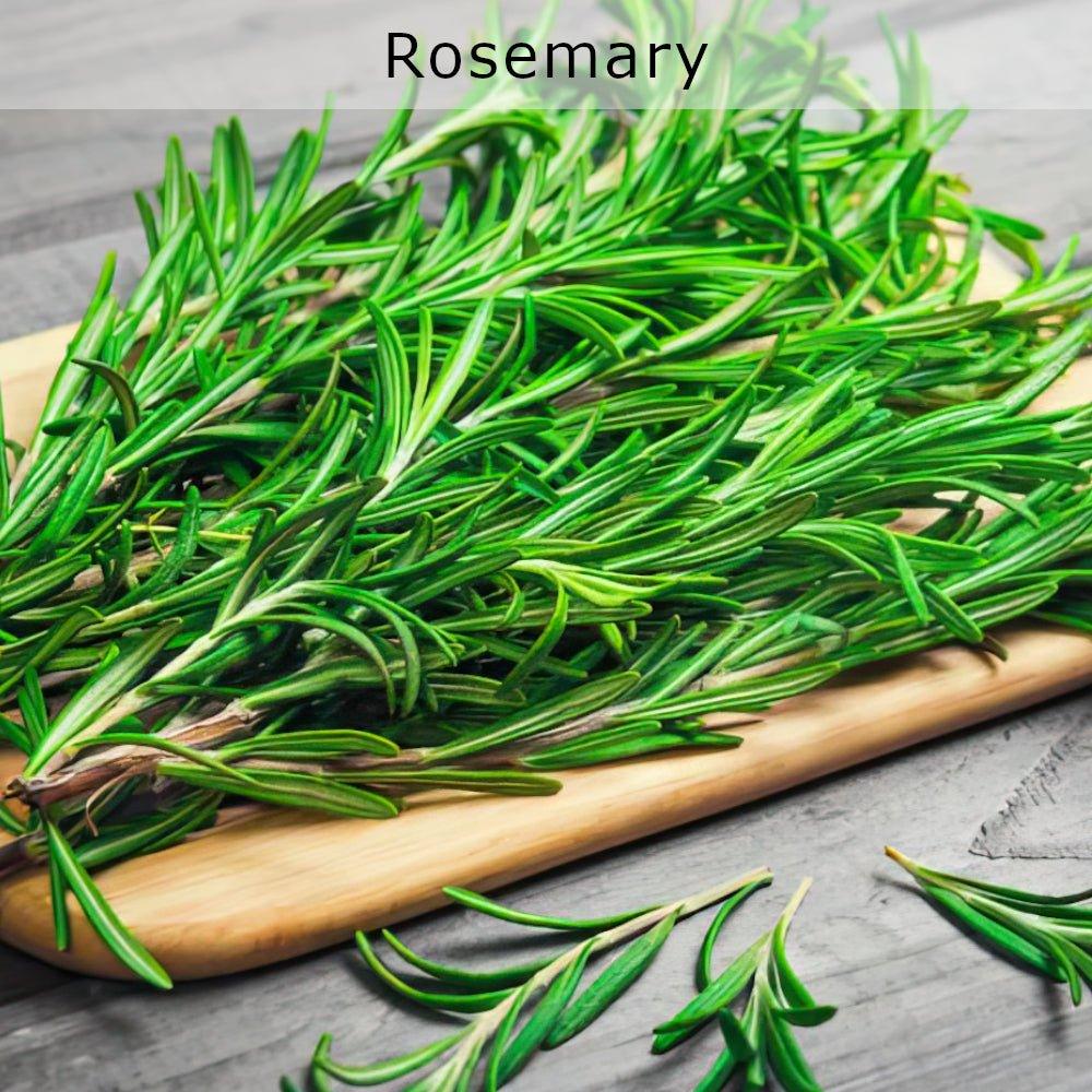 Rosemary Leaves