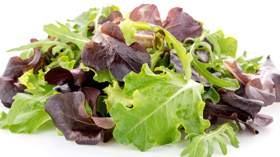 nourish-cooking-vegan-food-delivery-organic-baby-lettuce-leaf-houston-texas-cg