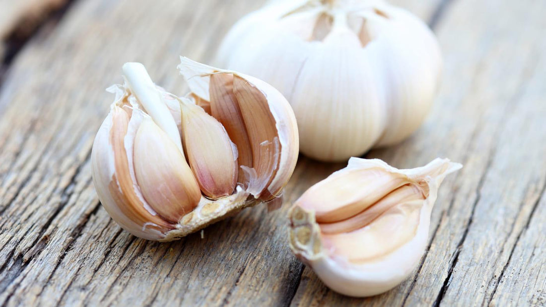 Garlic – Health Benefits as A Cooking Ingredient - NOURISH Cooking Co.