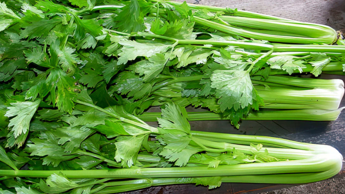 nourish-vegan-food-delivery-catering-houston-celery-benefits-nutrition-c