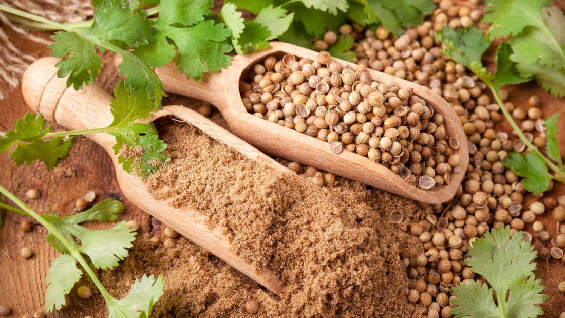 Coriander – Health Benefits as A Cooking Ingredient - NOURISH Cooking Co.