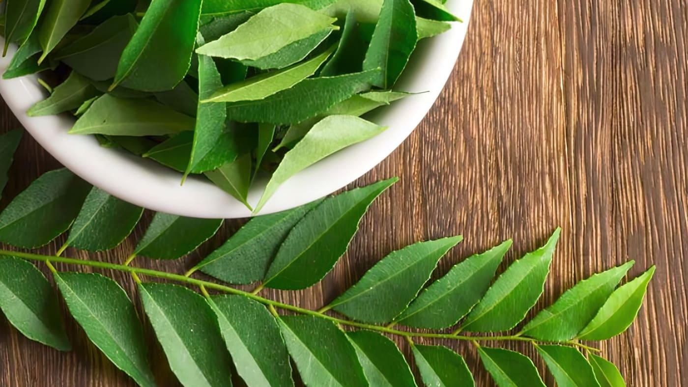 Curry Leaves (Kadi Patta): 10 Health Benefits & Nutritional Value