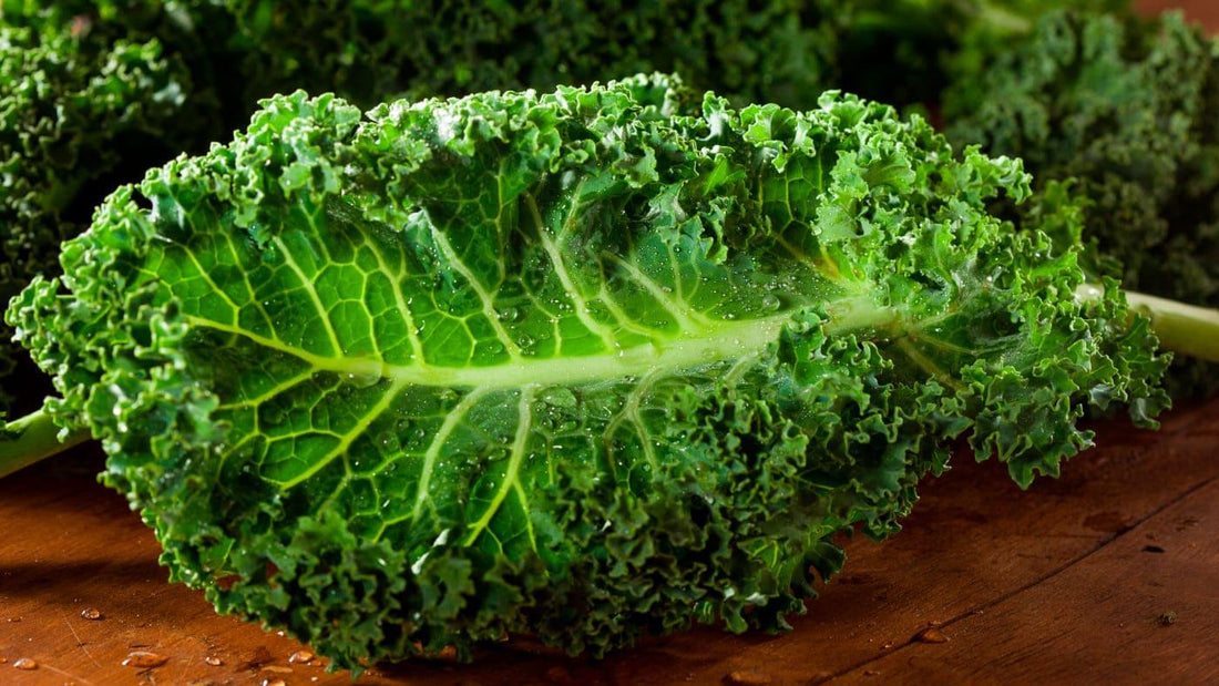 Kale – Health Benefits, Nutrition Facts & How to Select, Store & Prepare - NOURISH Cooking Co.