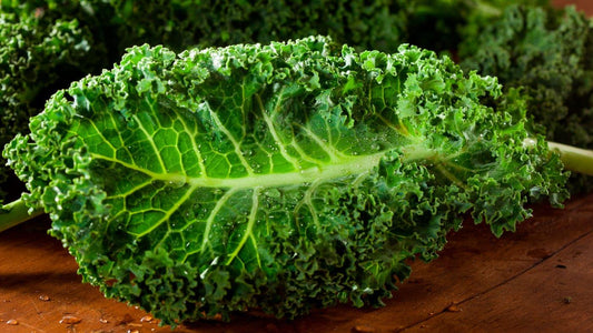 Kale – Health Benefits, Nutrition Facts & How to Select, Store & Prepare - NOURISH Cooking Co.