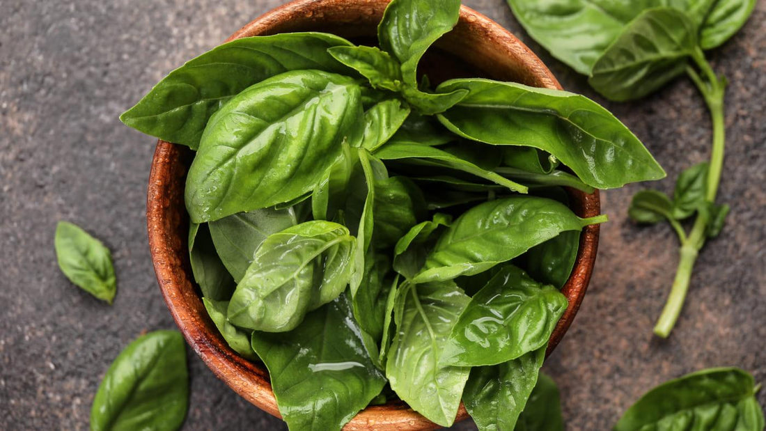 Basil – Health Benefits as A Cooking Ingredient - NOURISH Cooking Co.