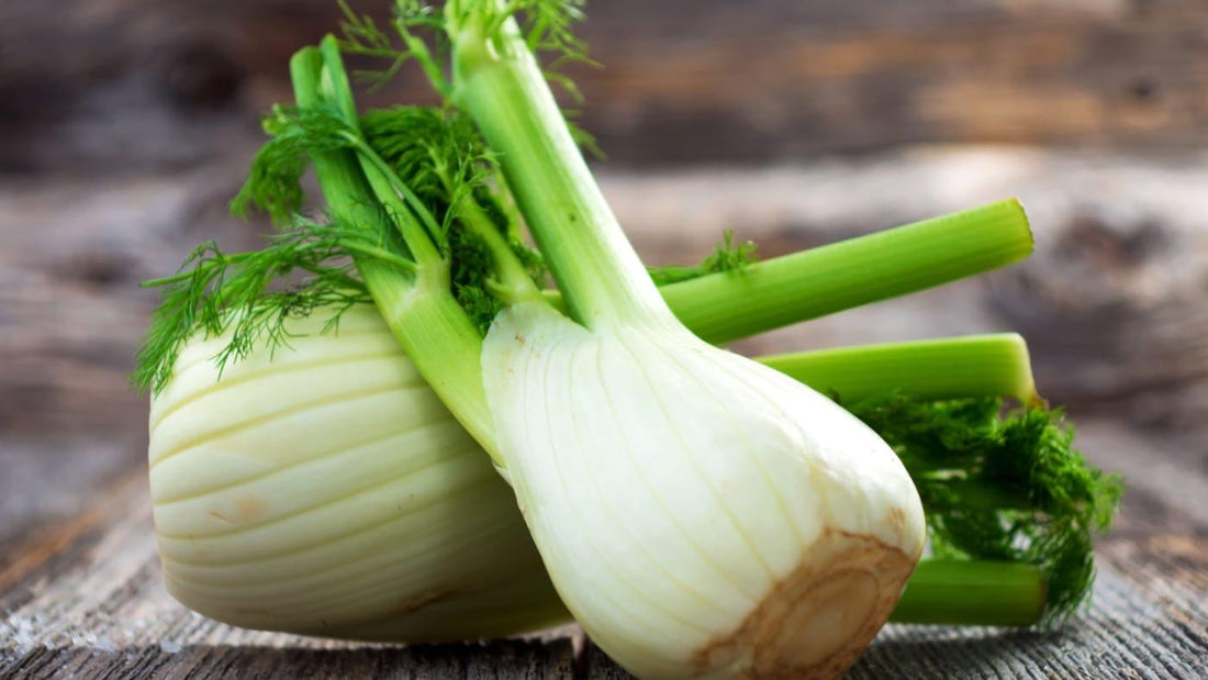Fennel – Health Benefits as a Cooking Ingredient - NOURISH Cooking Co.