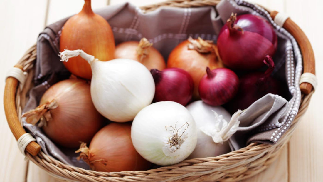 Onion – Health Benefits as a Cooking Ingredient - NOURISH Cooking Co.