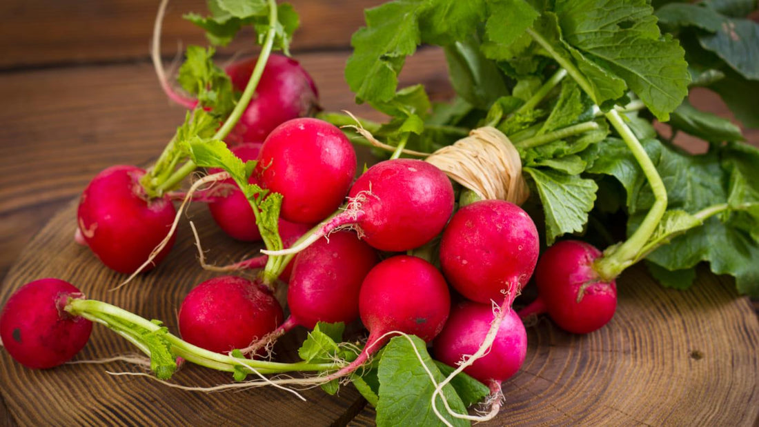 Radish – Health Benefits as a Cooking Ingredient - NOURISH Cooking Co.