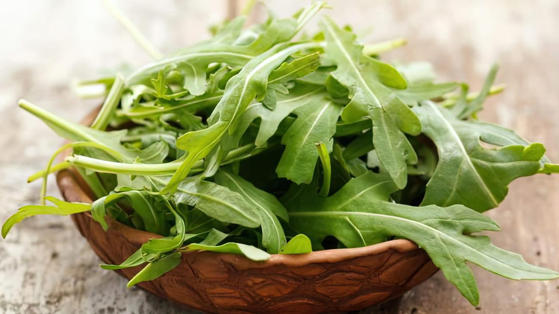 Arugula – Superfood Health Benefits, Nutrition Facts & How to Buy, Prepare and Store
