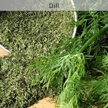 Dill
