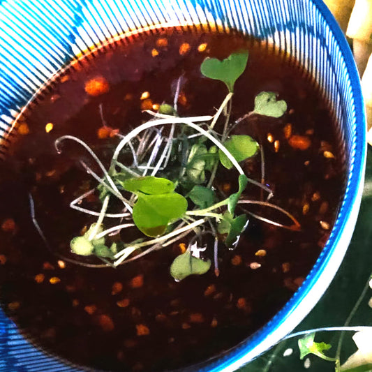 Edamame Dumpling Platter