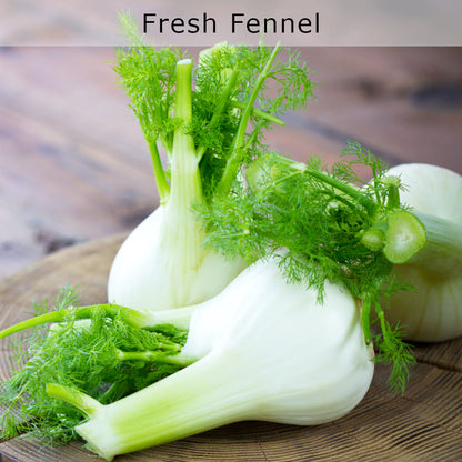 Fresh Fennel