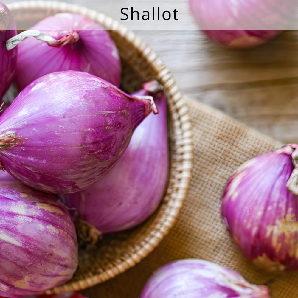 Shallot Gravy
