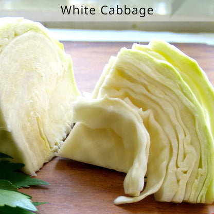 organic-white-cabbage-houston-texas