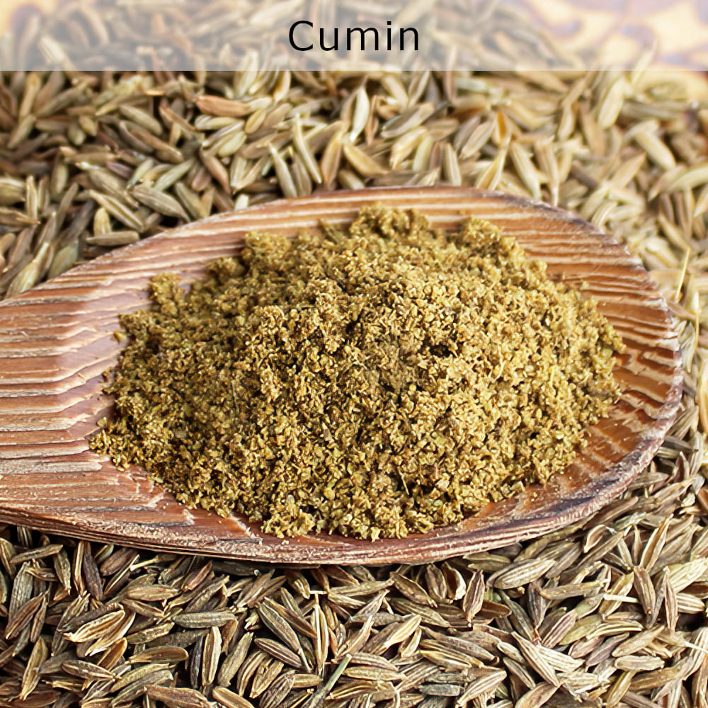 organic cumin powder houston