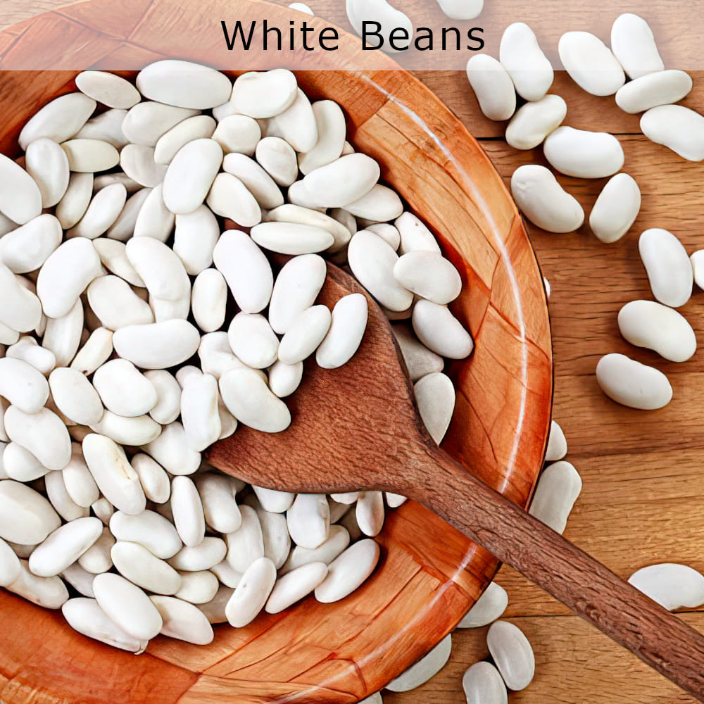 organic white beans houston texas