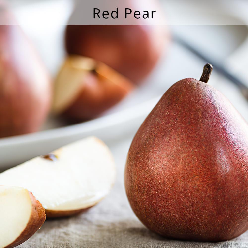 nourish-cooking-vegan-food-delivery-organic-red-pear-houston-texas-cg