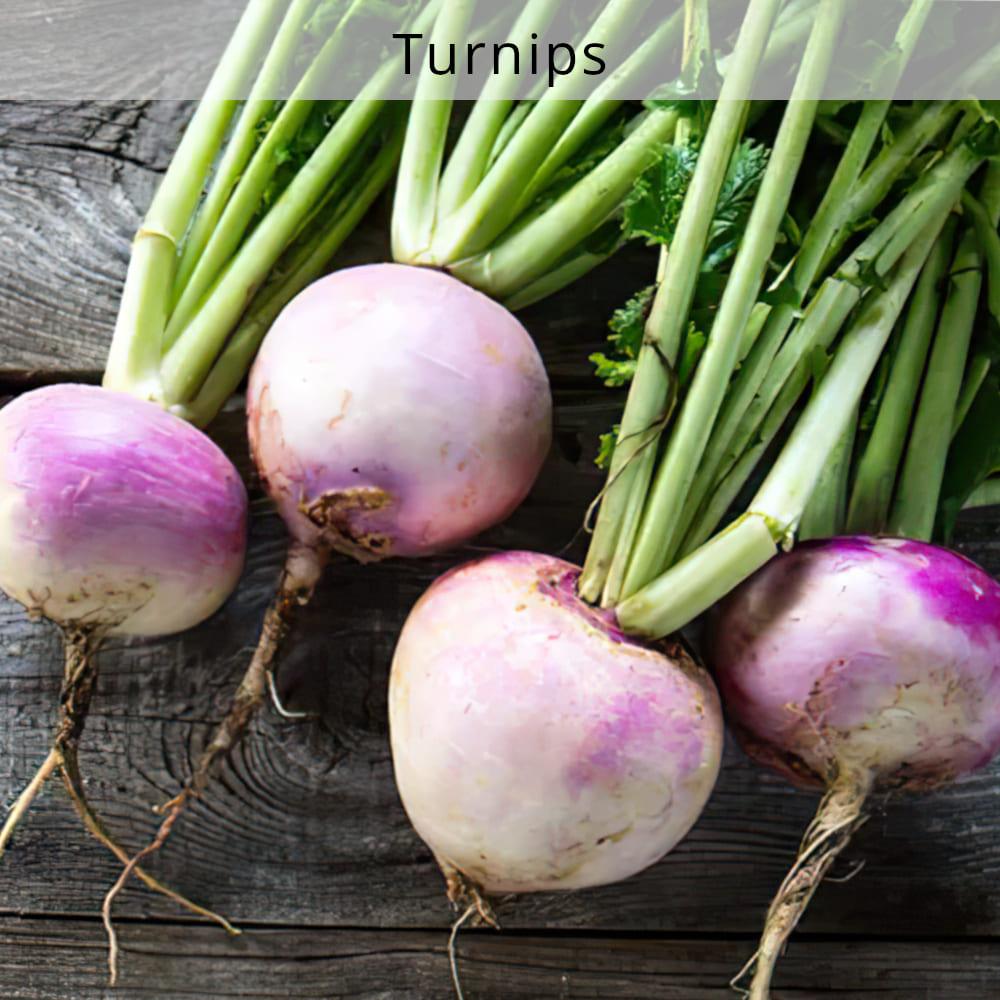 nourish-cooking-vegan-food-delivery-organic-turnips-houston-texas-cg