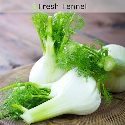 nourish-vegan-food-delivery-catering-houston-texas-organic-fresh-fennel-cg