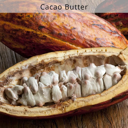 nourish-vegan-food-delivery-catering-organic-cacao-butter-houston-texas-cg